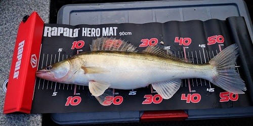 Линейка Rapala Hero Mat 90 см 