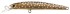 Воблер ZIPBAITS Rigge SLIM 80SS 